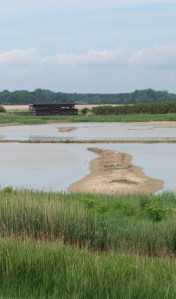 Minsmere Level - bird watching paradise - on Ruth's coastal walk