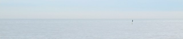 translucent light on sea - ruth's coastal walk