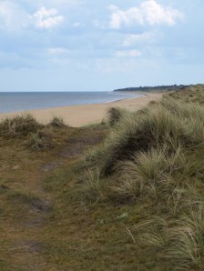 Walk along top of the Dunes, near Winterton, Norfolk, Ruth's coastal walk.