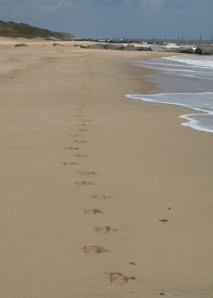 Ruth's footprints from Sea Palling, coastal walk, Norfolk