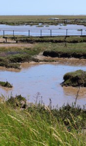 Hamford Marshes, Essex - Ruth's coastal walk