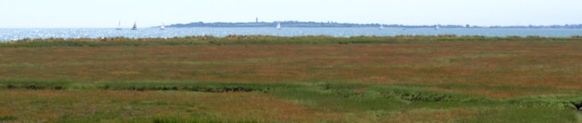 View across marshes to sea, near Dovercourt, Essex - Ruths coastal walk