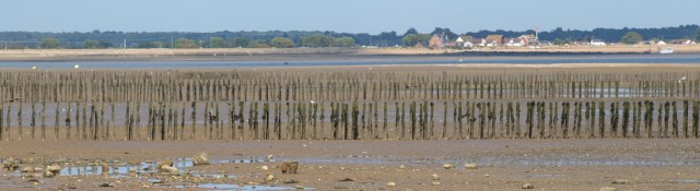 Sea defences, Mersea, Ruth's coastal walk Sea defences, Mersea, Ruth's coastal walk