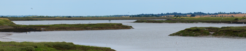 Marshes and Estuary, in Essex - Ruth's coastal walk