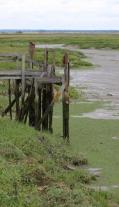 Ruined Jetties, Mayland Creek, Ruth's coastal walk, Essex.