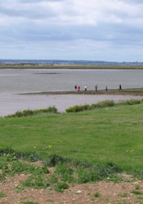 Mouth of Mayland Creek, Ruths coastal walk