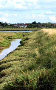 Path along marsh wall, Ruth's coastal walk - Essex marshes.