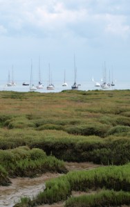 Ships in Mersea Quarters, seen across Old Hall Marshes, Ruth's coastal walk