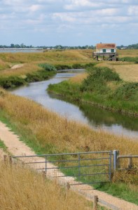 Towards Goldhanger, Ruths coastal walk Towards Goldhanger, Ruths coastal walk