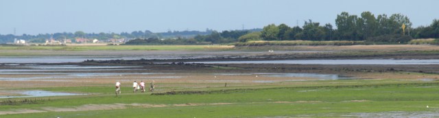 Children on bikes, to Osea Island, Ruth's Coastal Walk Children on bikes, to Osea Island, Ruth's Coastal Walk