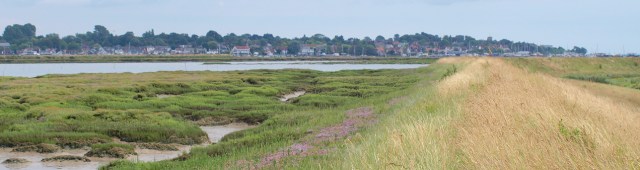 Sea wall, Old Hall Marshes, looking towards Mersea: Ruth's coastal walk