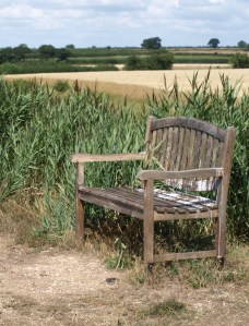 Nick Felsted's bench - Ruth's coastal walk, Essex Nick Felsted's bench - Ruth's coastal walk, Essex
