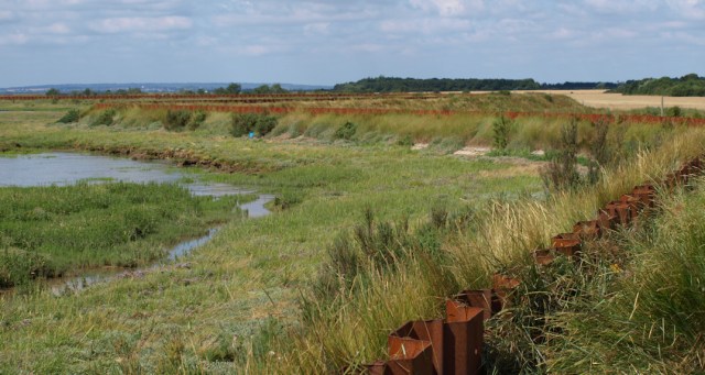 Meandering bank, River Blackwater, Ruth's coastal walk Meandering bank, River Blackwater, Ruth's coastal walk