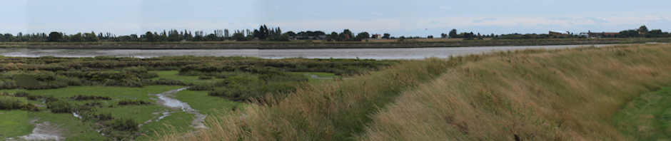 Panoramic montage of River Roach, Essex. Ruth's coastal walk.