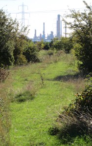 Fobbing and oil refinery, Ruth's coastal walk, Essex