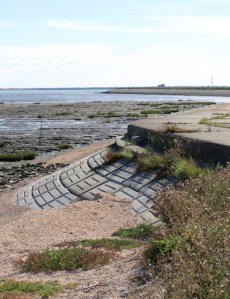 Sea wall, Dengie Marshes, Ruths coastal walk