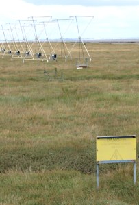 Strange structures, Tillingham Marshes, Ruth's coastal walk.