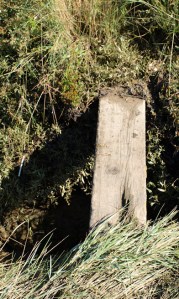 Bridge over ditch, St Mary's Marshes, Kent, Ruths coastal walk Bridge over ditch, St Mary's Marshes, Kent, Ruths coastal walk