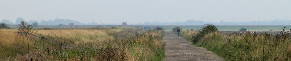 Cliffe Marshes nature reserve, Kent. Ruths coastal walk.