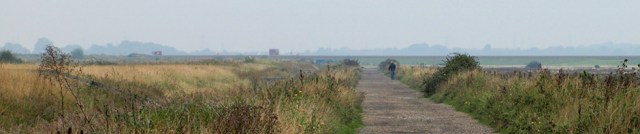 Cliffe Marshes nature reserve, Kent. Ruths coastal walk.