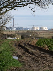 Isle of Grain, across fields, Ruths coastal walk.