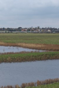 Allhallows Marshes, Ruth's coastal Walk