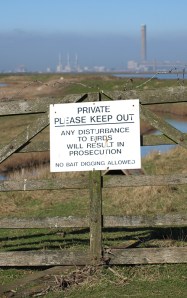 Rude Signs, Chetney Marshes, Ruth's coastal walk in Kent.