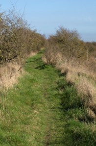 Nice path around industrial area, Saxon way, Ruth's coastal walk. Kent.