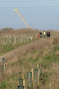Church Marshes Country Park, Kent. Ruth's coastal walk.