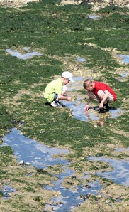 Shore off Birchington, Ruth walks the coast of Kent.