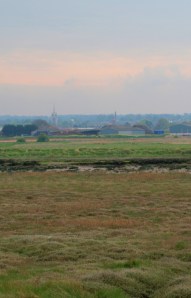 Faversham, viewed across Ham Marshes, Ruths coastal walk.