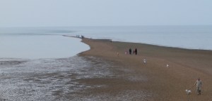 Whitstable Street, Ruths coastal walk, Kent.