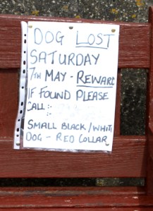 Lost dog notice on bench, Dymchurch - Ruths coast walk.