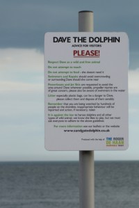Dave the Dolphin sign, Hythe, Ruth's coastal walk in Kent.