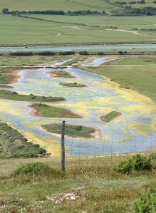 Algae in lagoons - Seven Sisters Country Park, Ruth's coastal walk