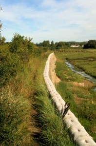 Sea wall near Chidham, Ruth's coastal walk through Sussex
