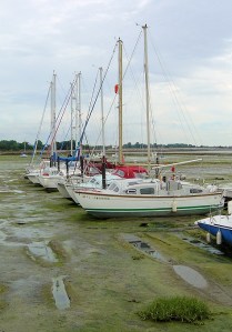 Thornham Marina, Thorney Island, Ruth's coastal walk.