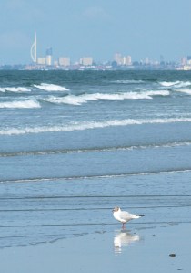 view across to Portsmouth, Ruth walking round the coast, Sussex.