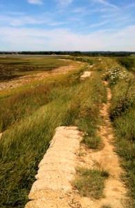 Path along sea wall, towards Prinsted, Ruth walks the coast in Sussex.