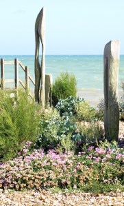 Waterwise Garden - 2 - Ruth's coastal walk