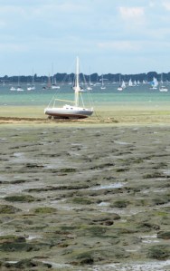 Chichester Harbour - mud, Ruth's coastal walk.