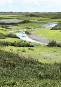 view across Pagham Harbour, Ruth walks around the coast.