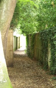 11 - secret footpath, Bognor Regis, Sussex, Ruth's coastal walk.