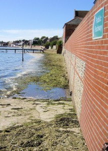 high tide in Emsworth, Ruth tries to walk round the coast.