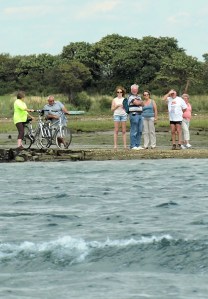Ferry P, West Itchenor, Sussex. Ruth walking round the coast.