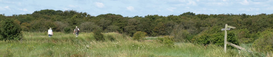 Pagham Harbour, Sussex - walking through it on Ruth's coast walk.