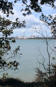 Fawley through trees, Ruth walks around the coastline, Hampshire