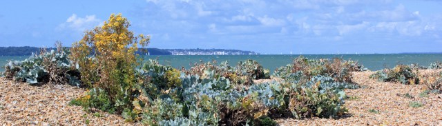 07 Isle of Wight, across shingle, Ruth on her coastal walk. Isle of Wight, across shingle, Ruth on her coastal walk.