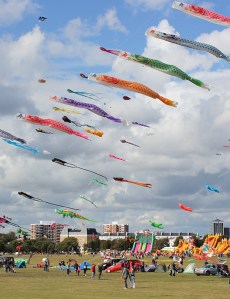 kite flying, Southsea Common, Ruth's coastal walk through Portsmouth