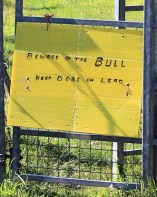 Beware of the Bull, Ruth's coastal walk in the New Forest.